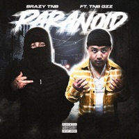 PARANOID (feat. Tnb Gzz) - Single - BrazyTNB