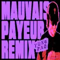 Mauvais Payeur