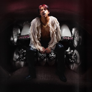 STRAYS - Single