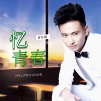 忆青春 - Single - 安东阳
