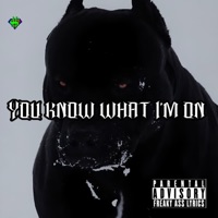 You Know What Im On - Single - $ammy