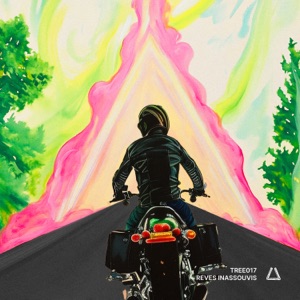 Reves Inassouvis - Single