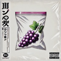 BDU - Single - Alex Coppel