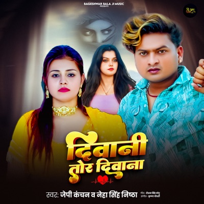Diwani Tor Diwani - Single