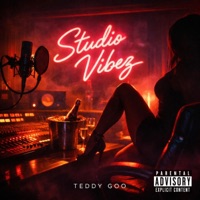 Studio Vibez - Single - Teddy Goo