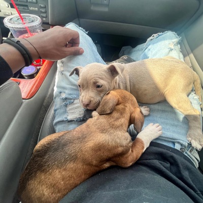 ON MY BABY (feat. 54Strikes) - Single