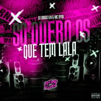 Só Quero os Que Tem Lala - Single - DJ Diogo V.N & MC Bibi Coelhinha