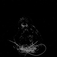 Sanat0Rium (feat. brvtalflama, ill Keffty & El Ruido) - Single - Blvckkatt