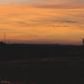 Quiet Afternoon so.tired