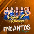 MIX BUSCANDO UN QUERER