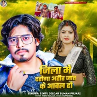 Jila Mein Daroga Ahair Jaat Ke Aaval hau - Single - Sintu Dildar