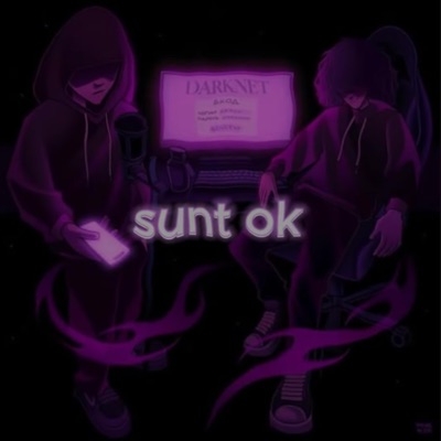 Sunt OK (feat. Smxg) - Single