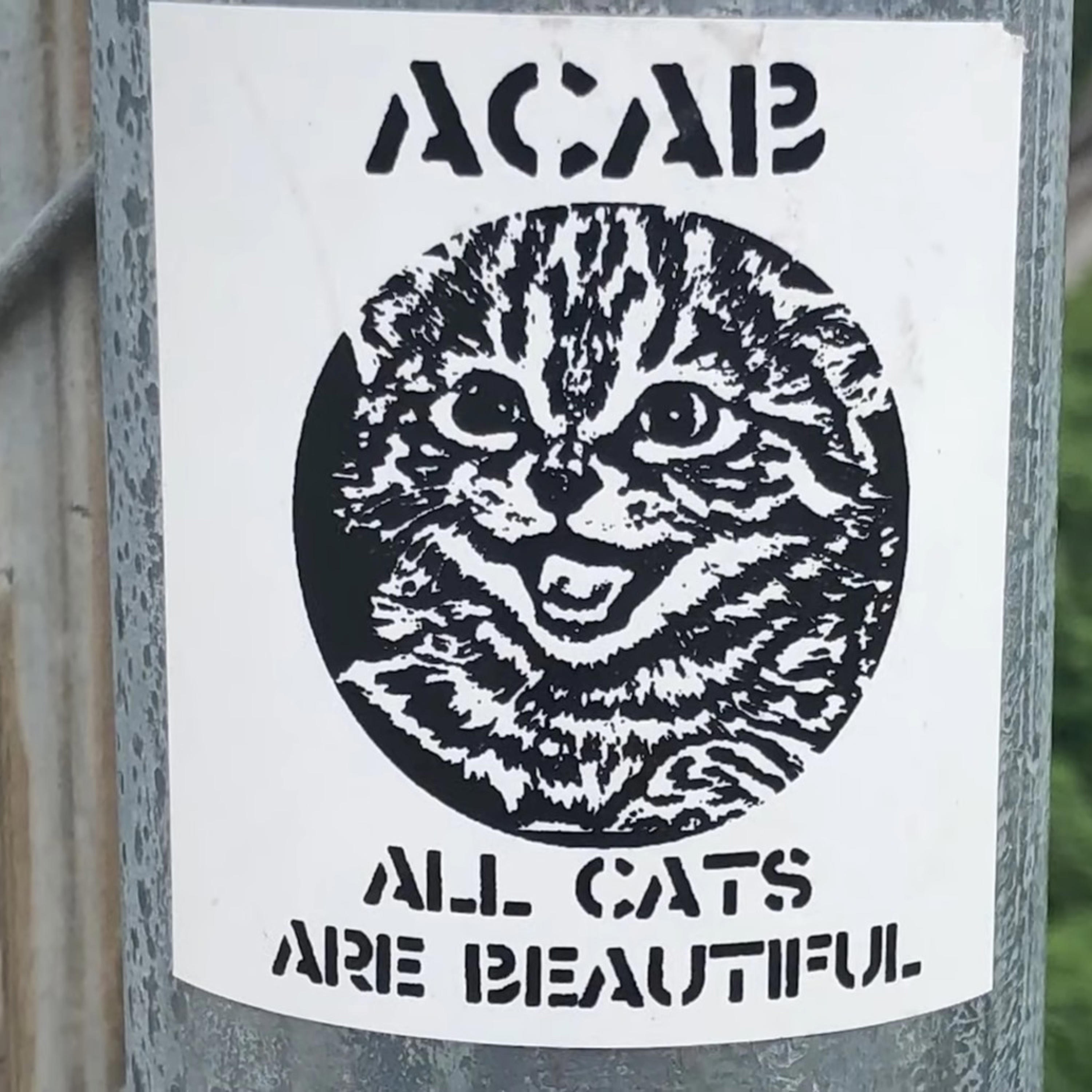 PhaseShifted - Single