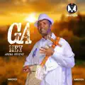 Gamey 3