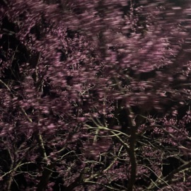 Regret (feat. Iliana Vlachos) Hermayosmora