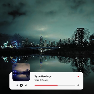 Type Feelings (feat. Toon) - Single