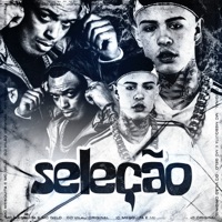 Seleção - Single - Mc Mesquita, Mc Gelo & DJ Vilão Original