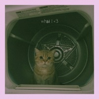 what i love - Single - Thékho & Dizzy Pine