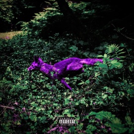 cold weather (feat. Lost & Pro Made This) [Chopped Not Slopped] Yotan & Mr.Foxy