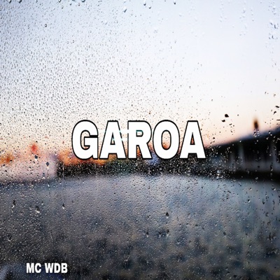 Garoa (feat. DJ MV7 & DJ Betinho Beats) - Single