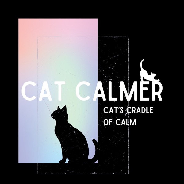 Cat’s Cradle of Calm: Relaxation Routines for Cats