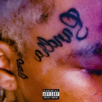 NO PLAN - Single - SOSTUPID