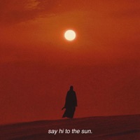 Say hi to the sun - Single - Luca Maxim