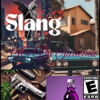 I Don't Love Him - Single - Slang