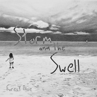 Storm and the Swell - Single - Forest Blue