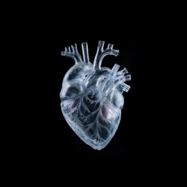 kalt wie Herbst Cloudyzzy