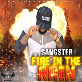 Fire In the Rain Sangster