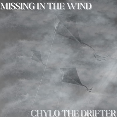 Missing In the Wind - Single