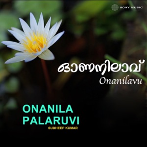 Onanila Palaruvi