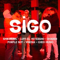 sigo (feat. dharen luiyi el veterano cheo vmessia purple boy) - Single - Smk Music