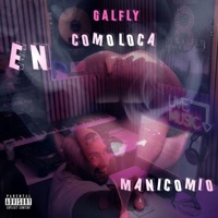 Como loca en manicomio - Single - GALFLY