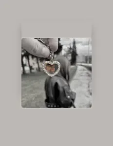 Ακούστε περιεχόμενο από Spikoes, παρακολουθήστε μουσικά βίντεο, διαβάστε το βιογραφικό, δείτε ημερομηνίες περιοδείας, και πολλά ακόμη!