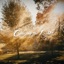 Chasing The Light - Single