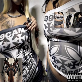 Petit modèle Twizzy Cinco, Lonebrain & Iburaa