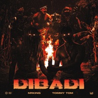 Dibadi (feat. Tommy Tom) - Single - MRKING