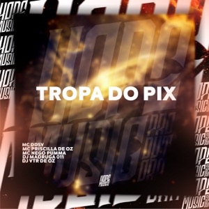 Tropa do Pix