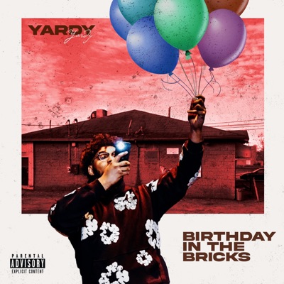 Birthday In The Bricks