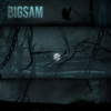 واسي - Bigsam