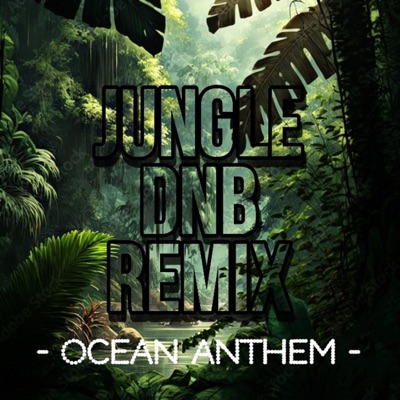 Jungle Anthem (Lmnt5 Remix Jungle / DnB) - Single