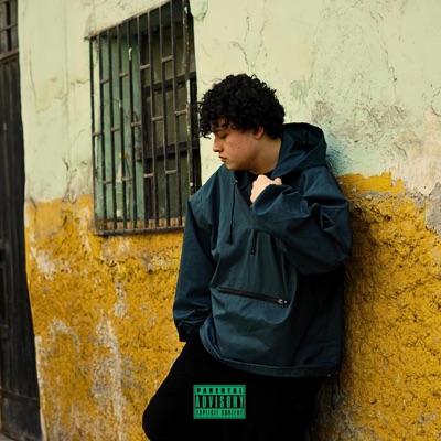 Pánico (feat. MaT) - Single