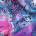 Promise 