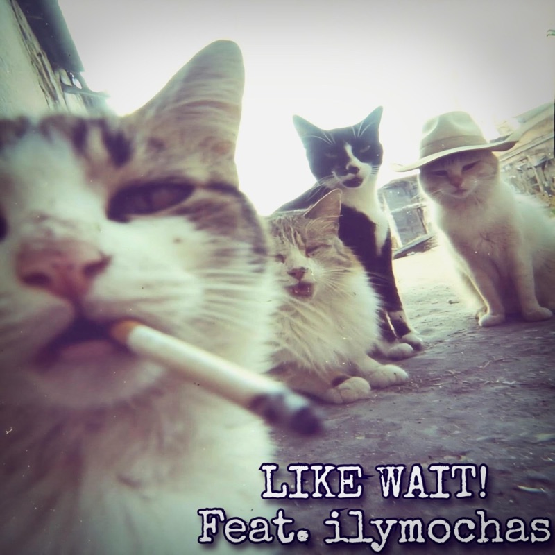 LIKE WAIT! (feat. ilymochas)