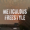 Meticulous Freestyle - Single