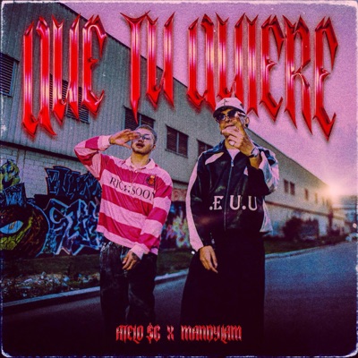 Que Tu Quiere - Single