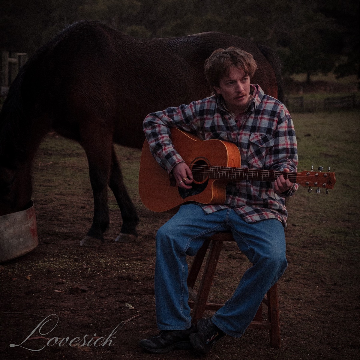 Lewis Love - Lovesick (2025) [iTunes Plus AAC M4A]-新房子