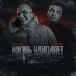 Жизнь удивляет (feat. Metox)